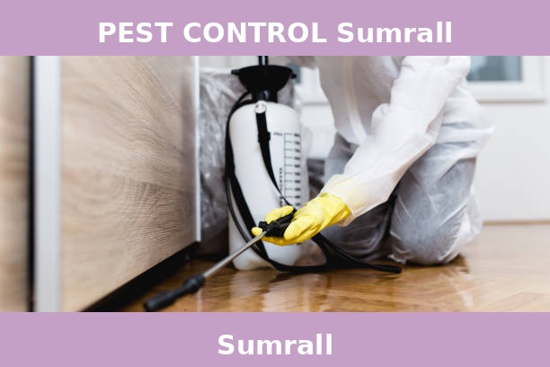 PEST CONTROL Sumrall